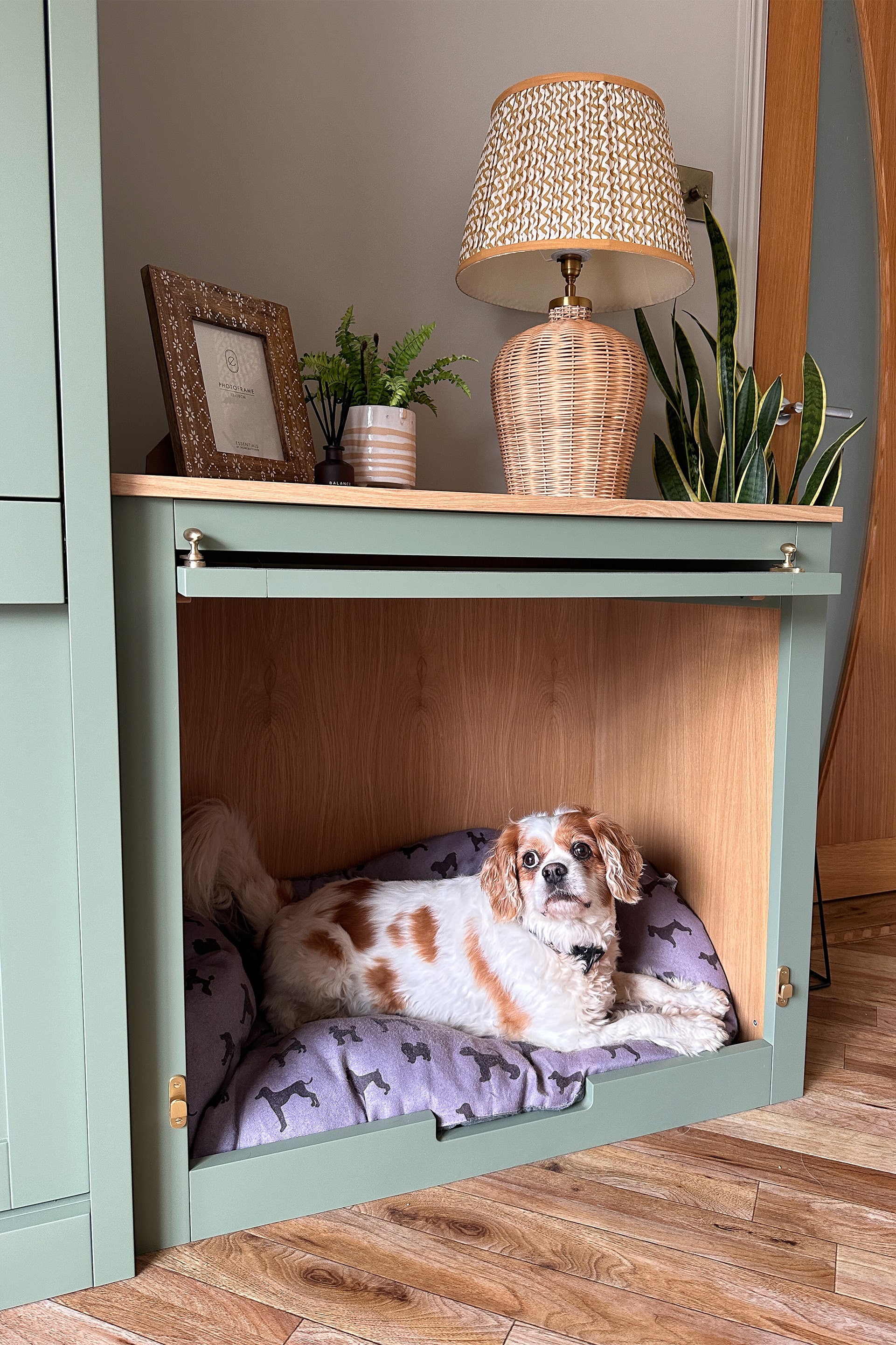 a picture of a dog in a custom made dog bed with lift up front